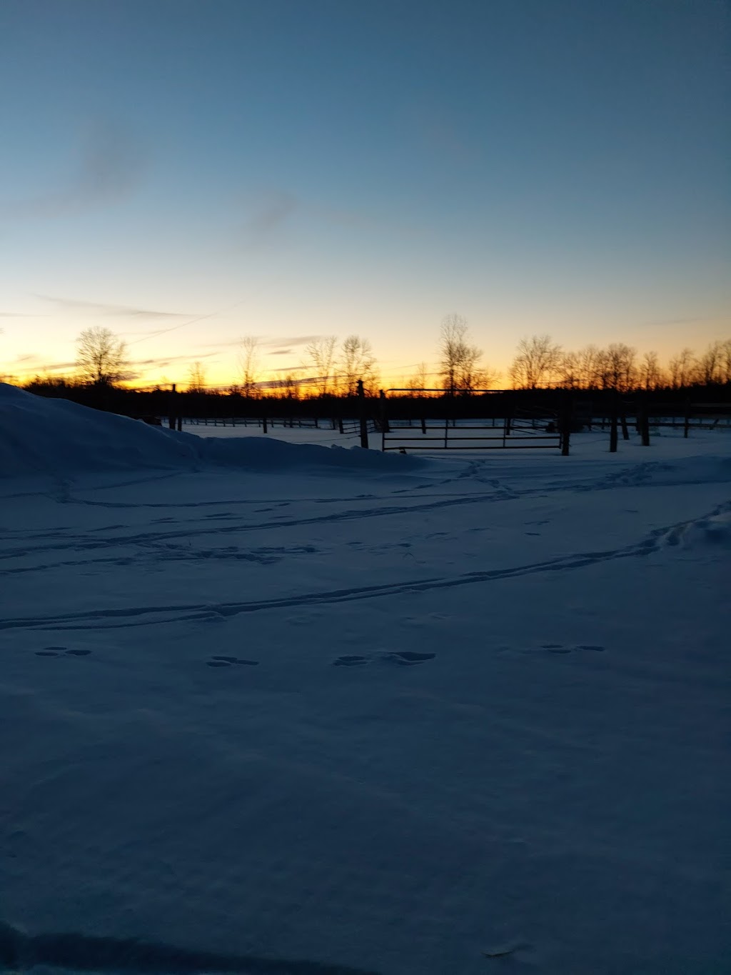 Riding Hood Stables | 129 Blessington Rd, Corbyville, ON K0K 1V0, Canada | Phone: (613) 848-7474