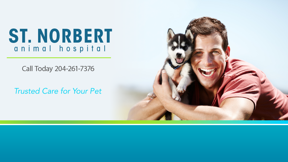 St Norbert Animal Hospital | 3311 Pembina Hwy, Winnipeg, MB R3V 1T7, Canada | Phone: (204) 261-7376