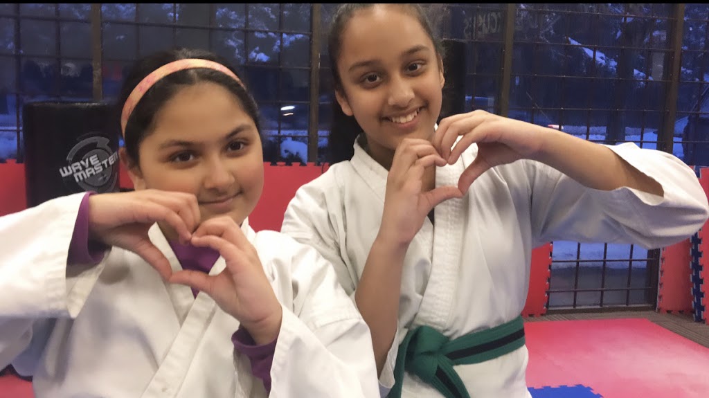Aries Martial Arts Cloverdale | 17828 65a Ave unit 112, Surrey, BC V3S 1Z3, Canada | Phone: (604) 593-3737