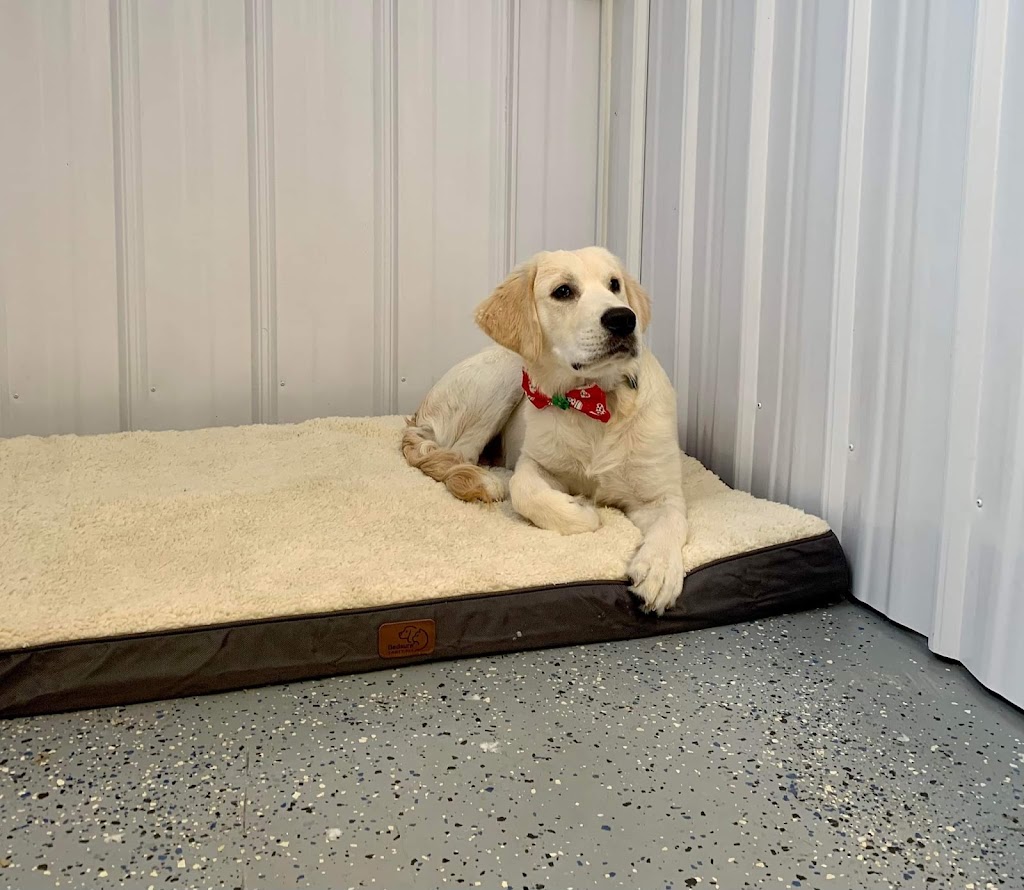 Garderie canine le havre de Caro | 252 rang 5, Saint-Ferdinand, QC G0N 1N0, Canada | Phone: (819) 362-5567