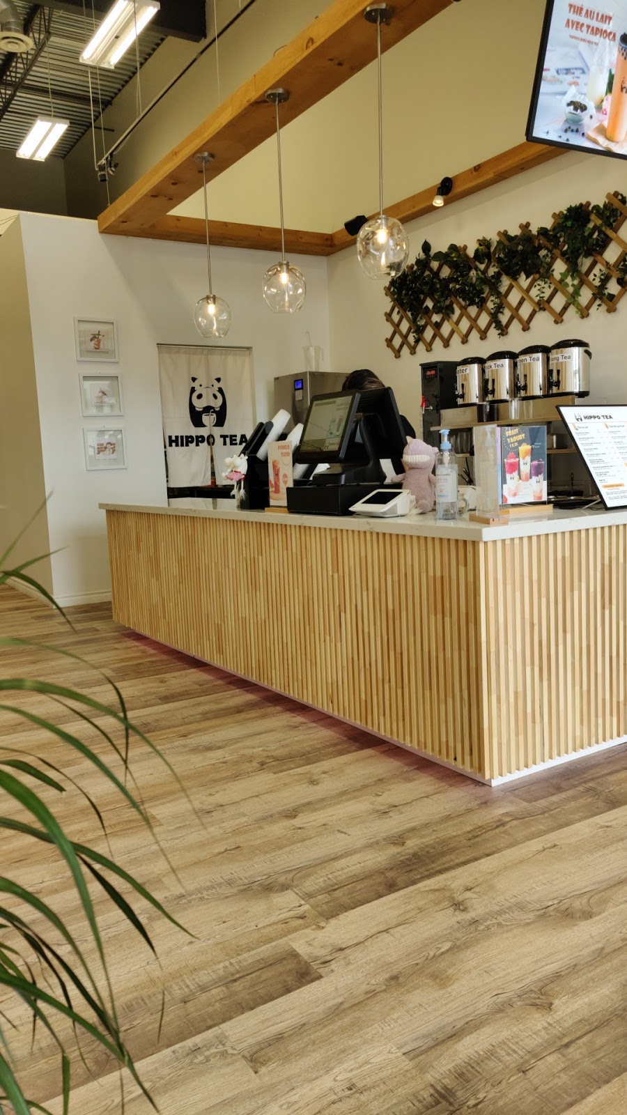 Hippo Tea | 4260 Boulevard des Forges, Trois-Rivières, QC G8Y 1W3, Canada | Phone: (819) 693-8700