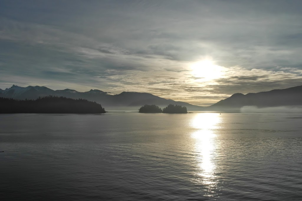 Greymouse Web Design & Local Marketing Services | 760 Wright Rd, Gibsons, BC V0N 1V7, Canada | Phone: (604) 200-6032