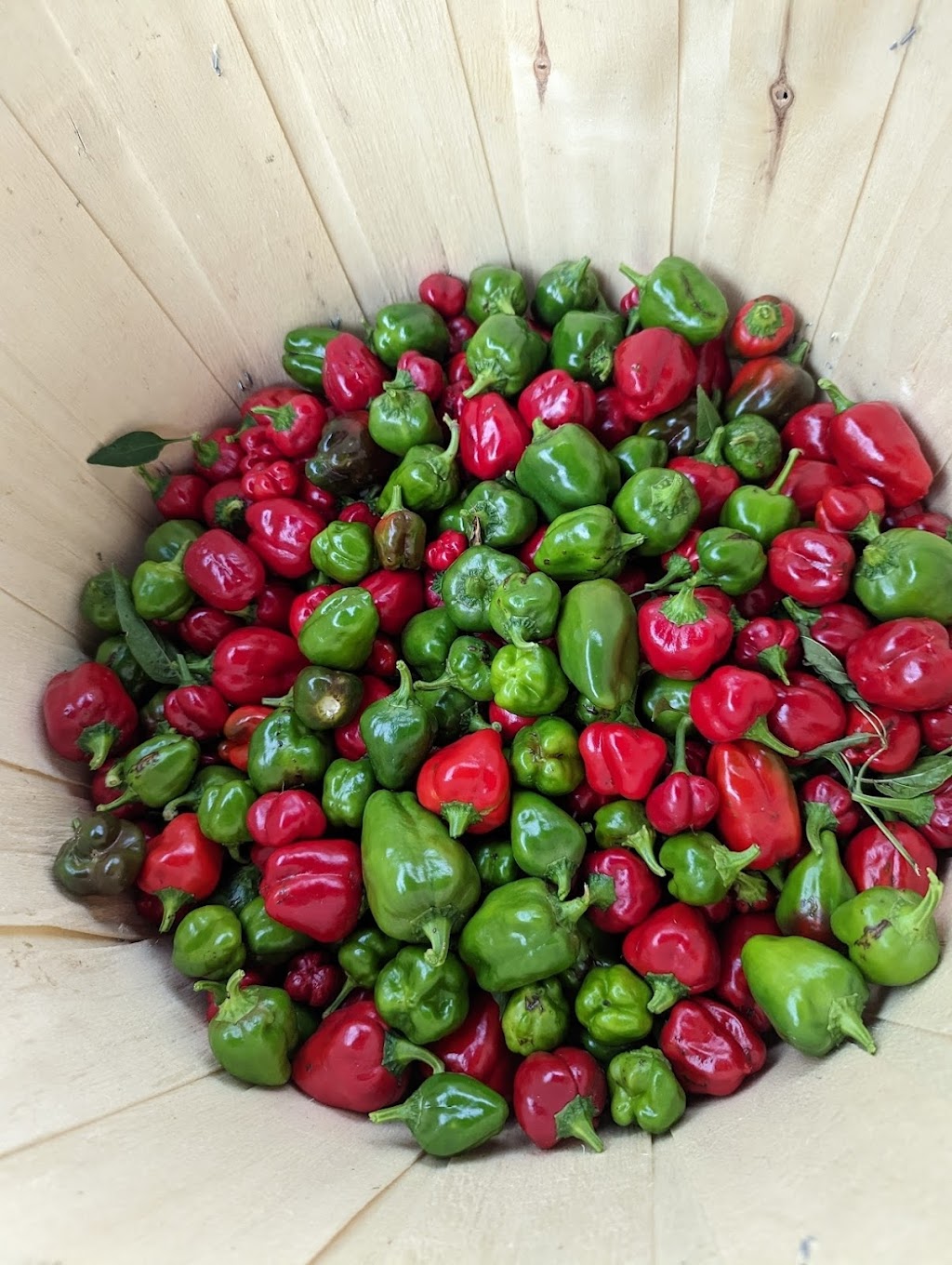 Delivereed | 461 ON-5, Dundas, ON L9H 5E2, Canada | Phone: (289) 682-5886