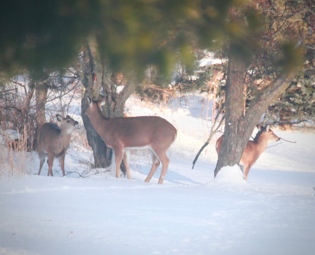 The Farmers Walk Bed and Breakfast | 833345 4 Line E, Orangeville, ON L9W 5Z4, Canada | Phone: (519) 942-1775