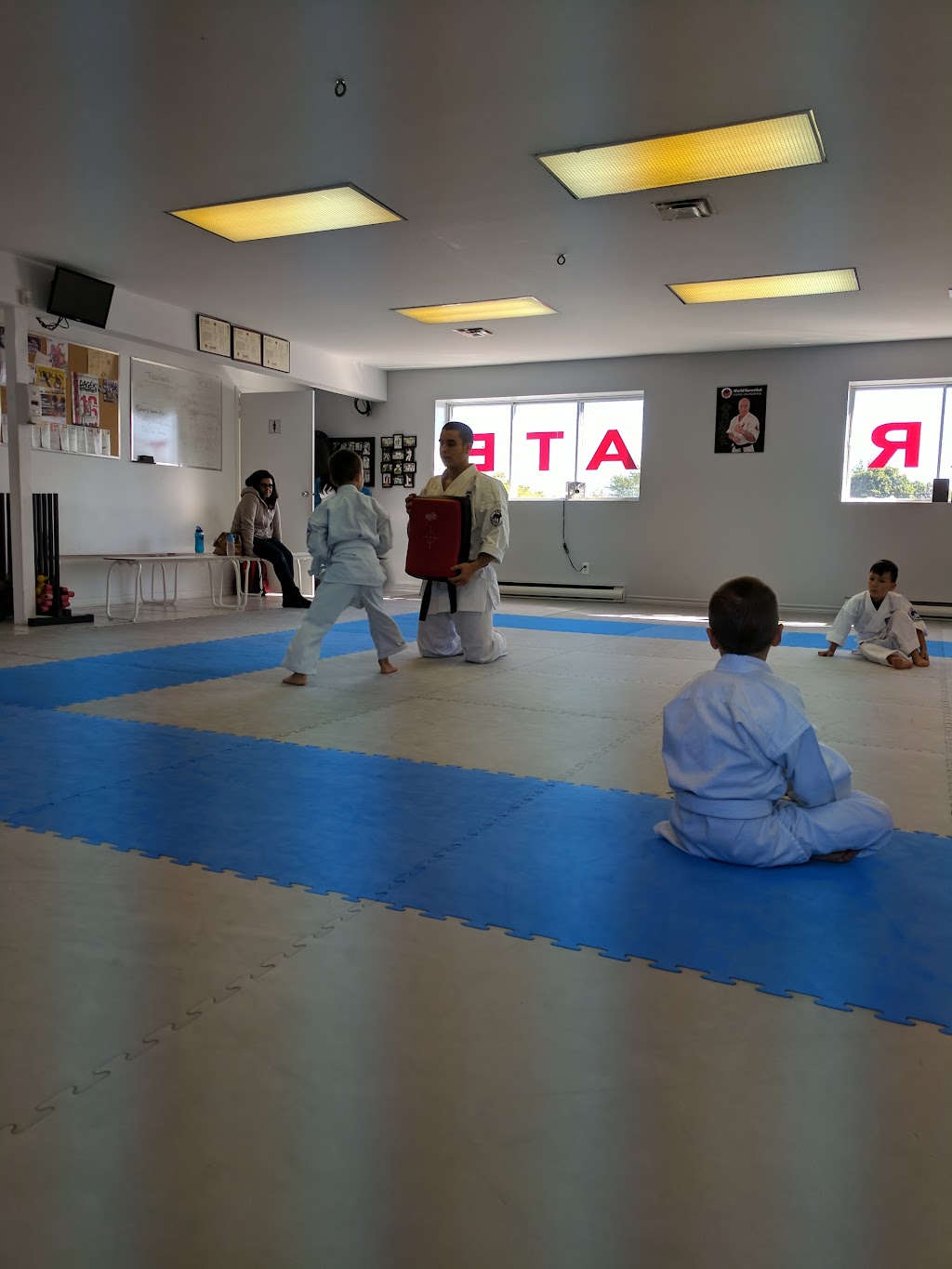 Kanreikai Karate Montréal | 4830 Bd Saint-Charles, Pierrefonds, QC H9H 3E1, Canada | Phone: (514) 834-8458