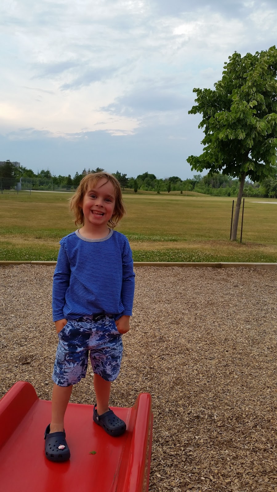 Poplar Road Junior Public School | 66 Dearham Wood, Scarborough, ON M1E 1S4, Canada | Phone: (416) 396-6525