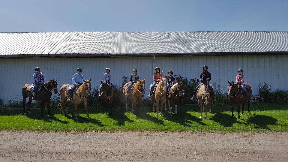 Trickle Creek Farms | 5723 10th Line, Millbrook, ON L0A 1G0, Canada | Phone: (705) 872-8286