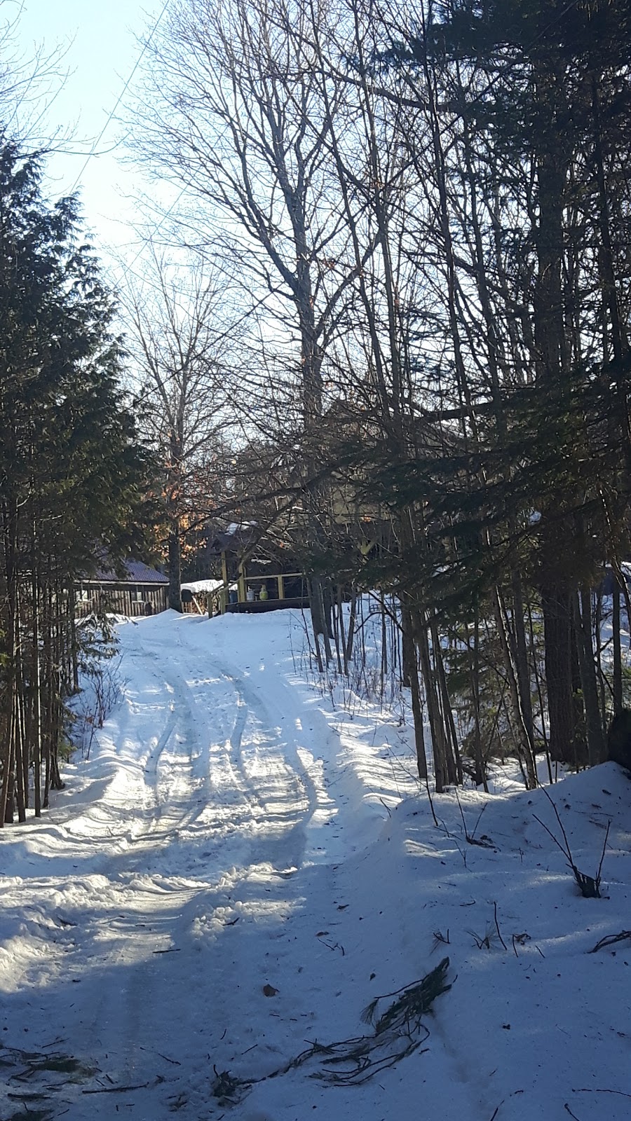 Rogers Larry Piano Tuner & Technician | 28 Burys Green Rd, Fenelon Falls, ON K0M 1N0, Canada | Phone: (705) 887-6210