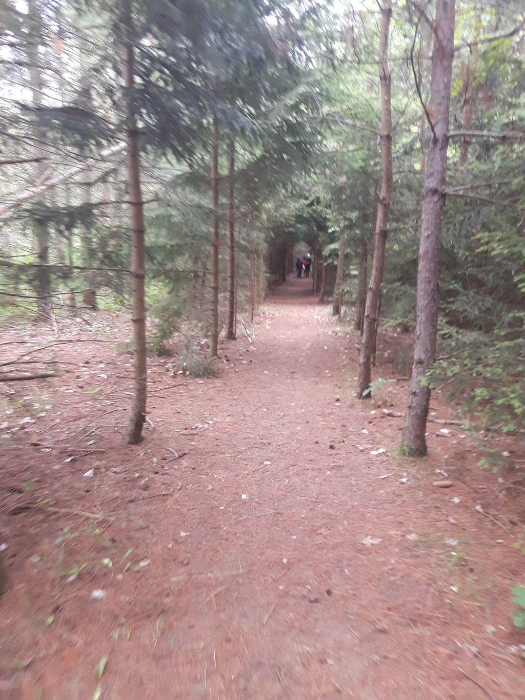 Lambton United Church Camp | Canada, 6602 Lakeshore Rd, Lambton Shores, ON N0N 1J7, Canada | Phone: (519) 786-5663