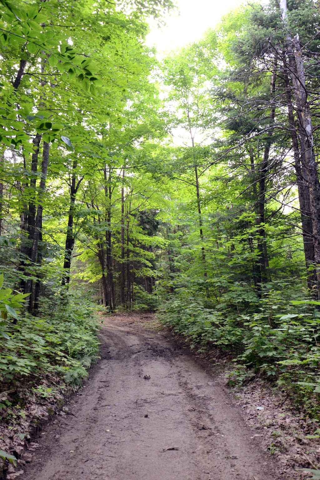 Camping sauvage Domaine Kalina | 6440 Chemin Kalina, Rawdon, QC J0K 1S0, Canada | Phone: (450) 834-8170
