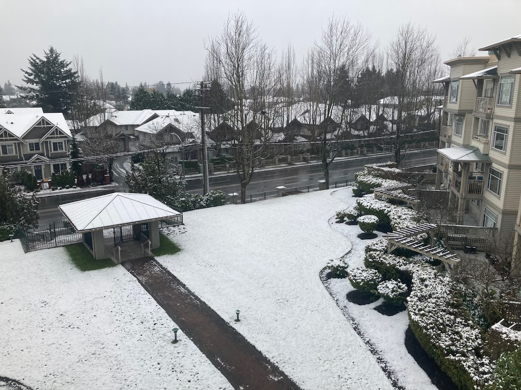 Laguna Condominiums | 8220 Jones Rd #8180, Richmond, BC V6Y 1L6, Canada | Phone: (604) 244-0997