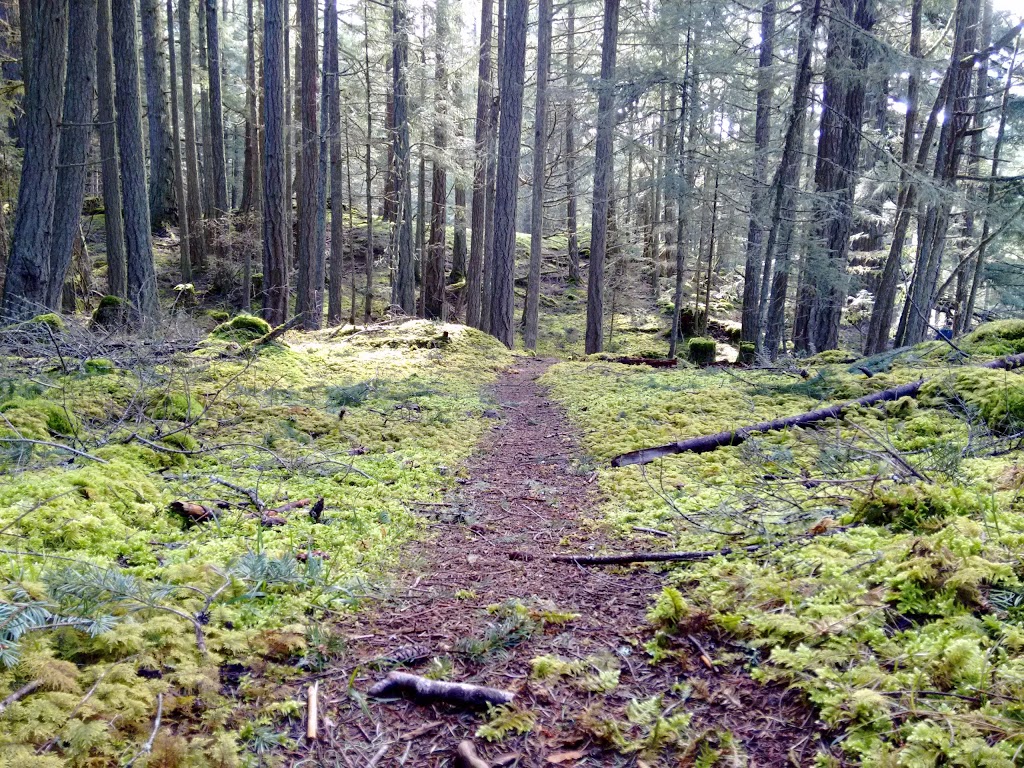 Mount Maxwell Provincial Park | Salt Spring Island, BC V8K 2H7, Canada | Phone: (250) 539-2115