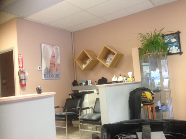Hair Dews | 645 Plains Rd E, Burlington, ON L7T 4J5, Canada | Phone: (905) 681-2656