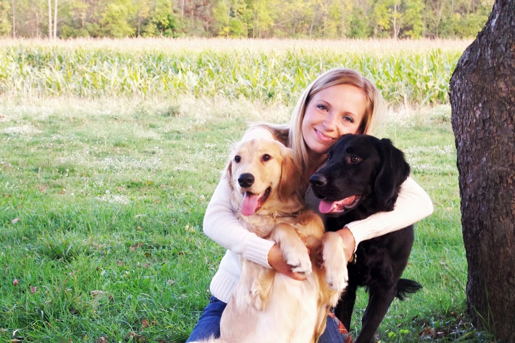 Golden Paws Pet Care Services, LLC (Pet Hotel & Daycare) | 1759 Sturgeon Point Rd, Derby, NY 14047, USA | Phone: (716) 400-8431