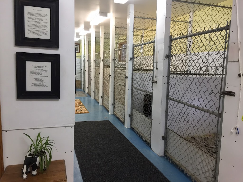 Paws A While Boarding Kennel | 51024 Range Rd 200 #40, Alberta T0B 4J1, Canada | Phone: (780) 662-4878