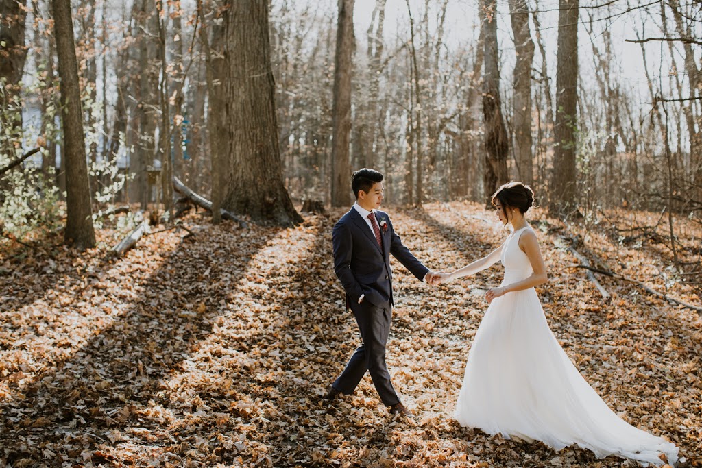 Eleanor Dobbins Photography | Francis Rd, Minden Hills, ON K0M 2K0, Canada | Phone: (705) 306-0250