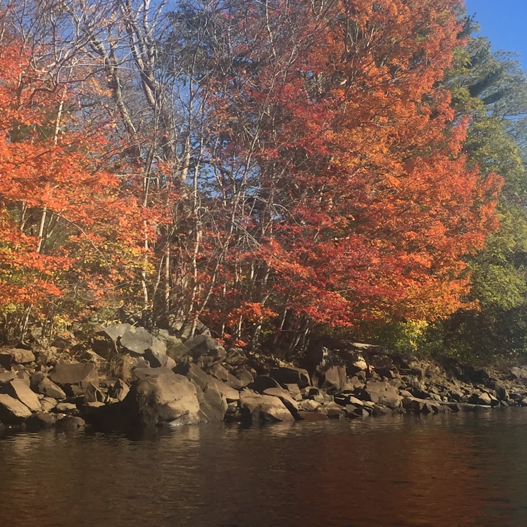 Oasis on the Mersey River | 139 Nova Scotia Trunk 8, Liverpool, NS B0T 1K0, Canada | Phone: (902) 803-0658