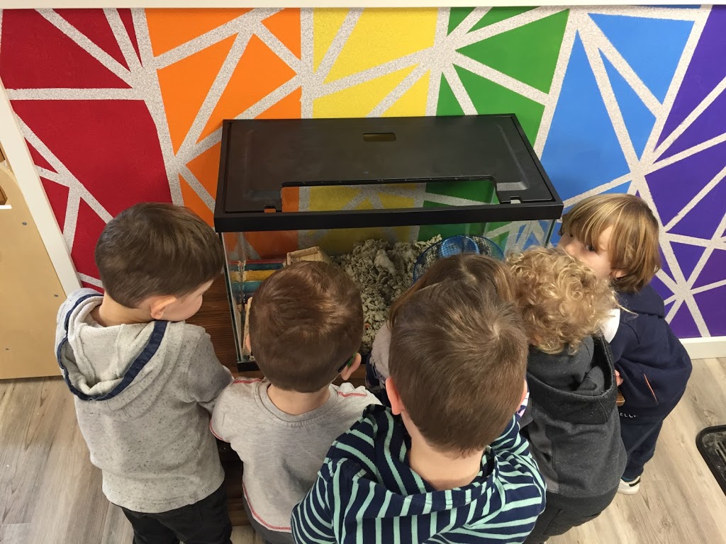 As We Grow Preschool | 6770 Cools Rd, Vernon, BC V1B 3T2, Canada | Phone: (250) 938-7558