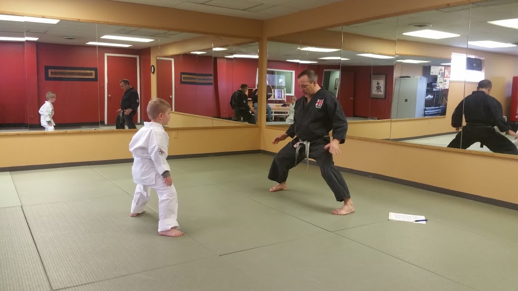 Bob Aldis Bushido Martial Arts Inc | 33801 32 Mile Rd, Richmond, MI 48062, USA | Phone: (586) 727-3381