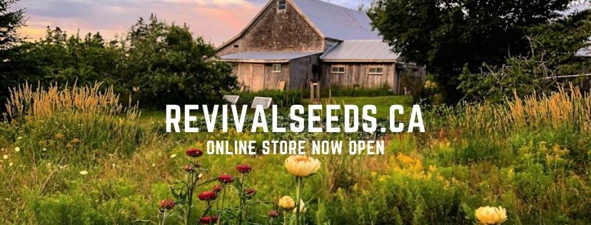 Revival Seeds | 77 Delusion Rd, Middleton, NS B0S 1P0, Canada | Phone: (902) 825-6699