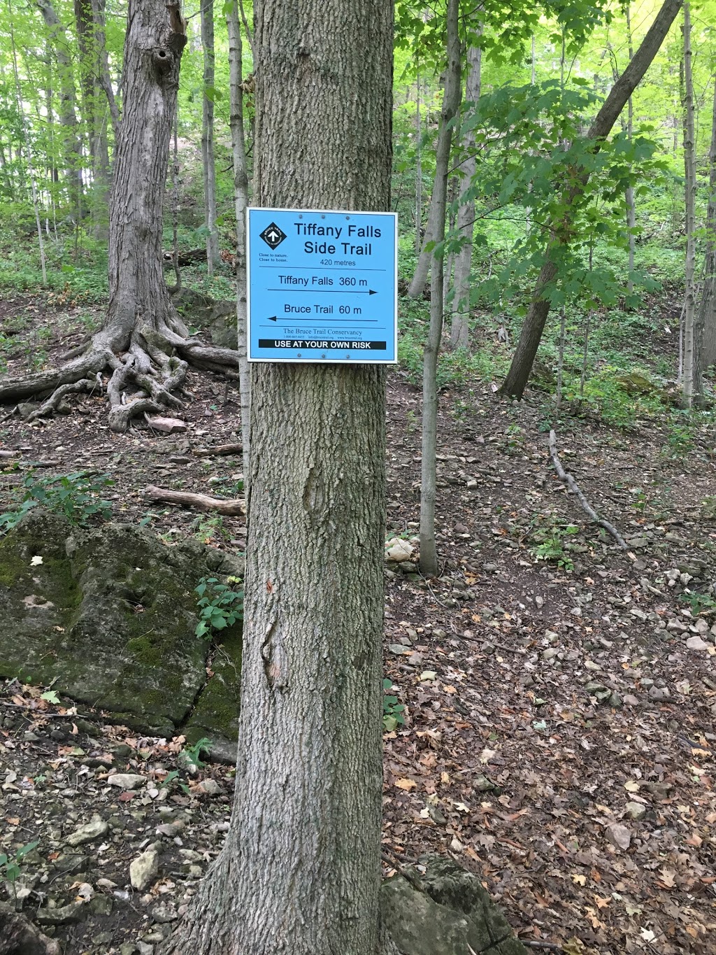 Tiffany Falls Conservation Area | 900 Wilson St E, Hamilton, ON L8S 4K5, Canada | Phone: (905) 525-2181