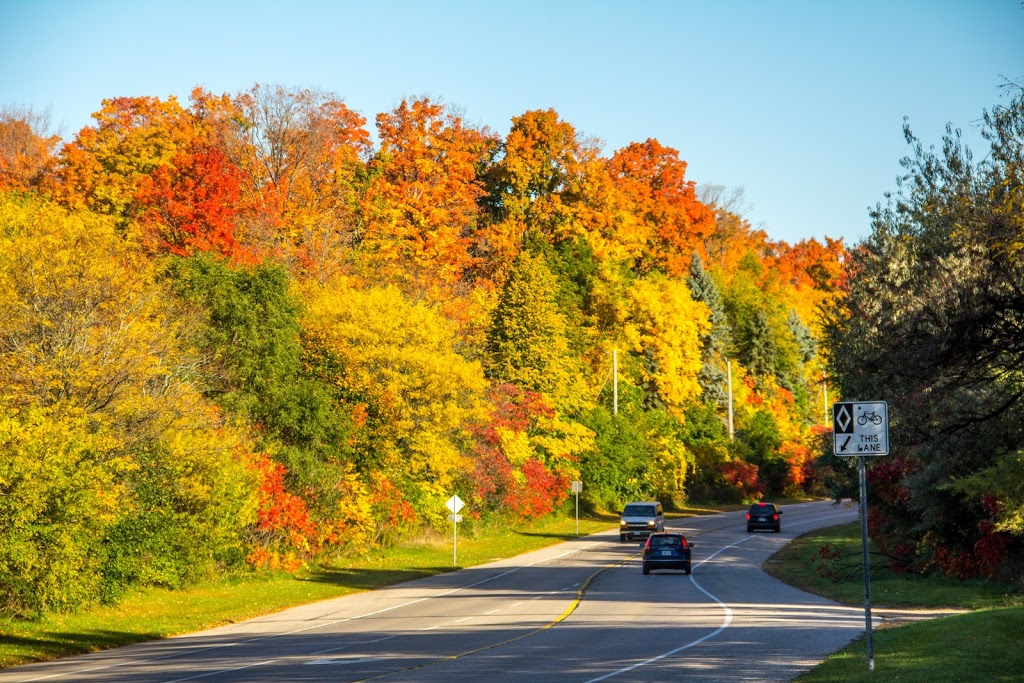 Warrington Park | 397 Warrington Dr, Waterloo, ON N2L 5X6, Canada | Phone: (519) 886-2310