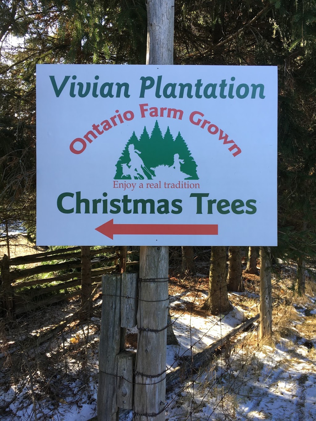 Vivian Plantation - Where Christmas memories begin | point of interest | 16721 Hwy 48, Whitchurch-Stouffville, ON L4A 3J6, Canada | 9054733537 OR +1 905-473-3537