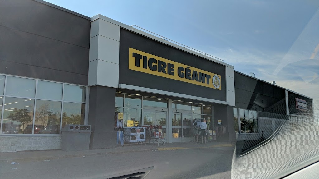 Tigre Géant | 7560 Rue Béclard, Anjou, QC H1J 2X7, Canada | Phone: (514) 351-3682