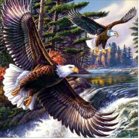 Diamond Painting With Wanda | 31406 Lake Ridge Rd, Cannington, ON L0E 1E0, Canada | Phone: (705) 341-2341