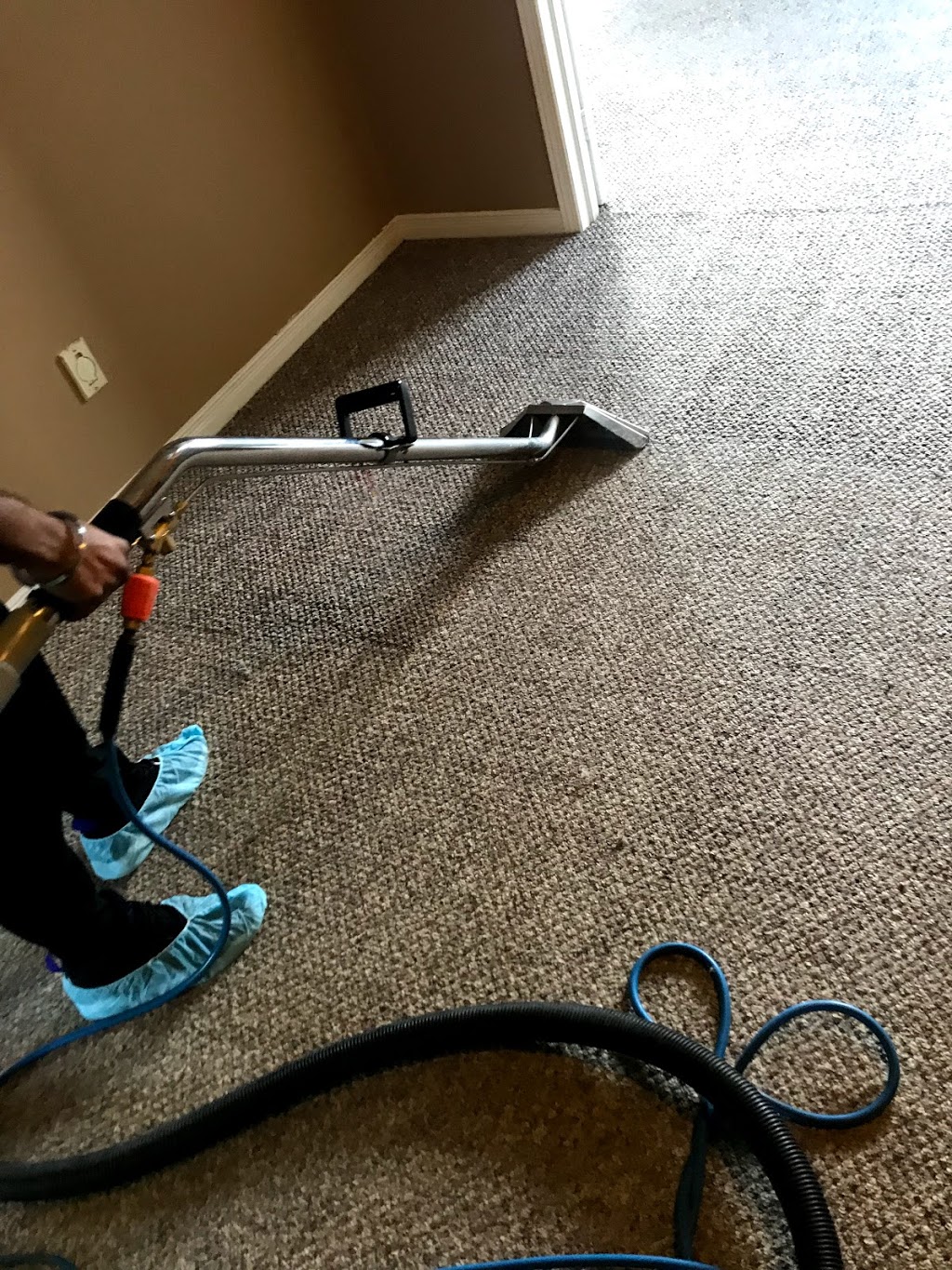 Kings Carpet Cleaning | 17 Roundstone Dr, Brampton, ON L6X 0K7, Canada | Phone: (437) 980-1986