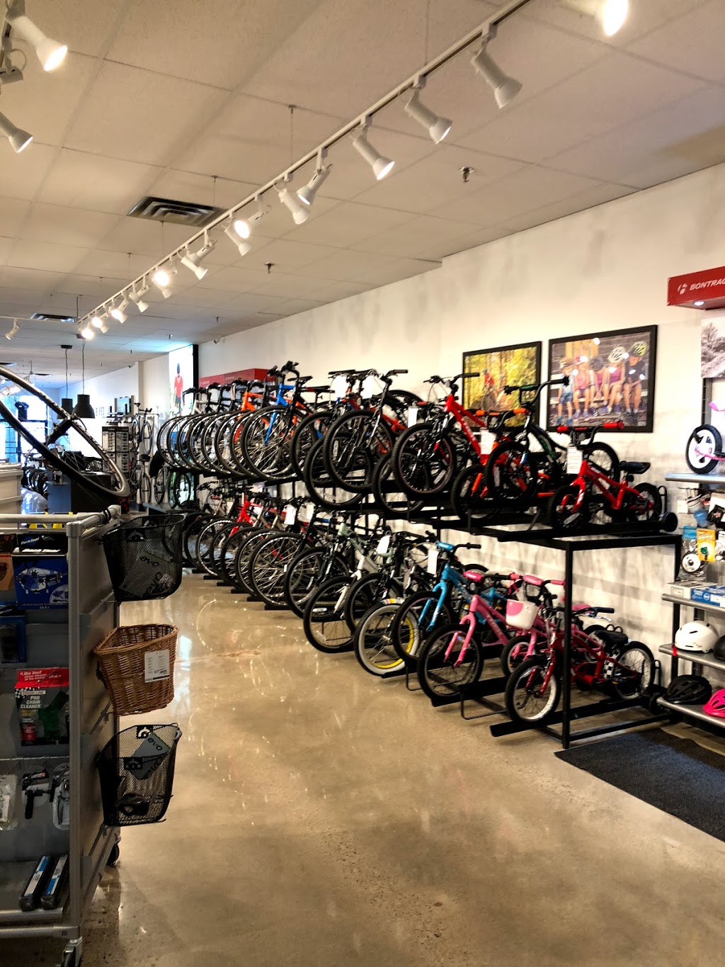 Trek Bicycle Store Mississauga | #13, 2273 Dundas St W, Mississauga, ON L5K 2L8, Canada | Phone: (905) 997-8735