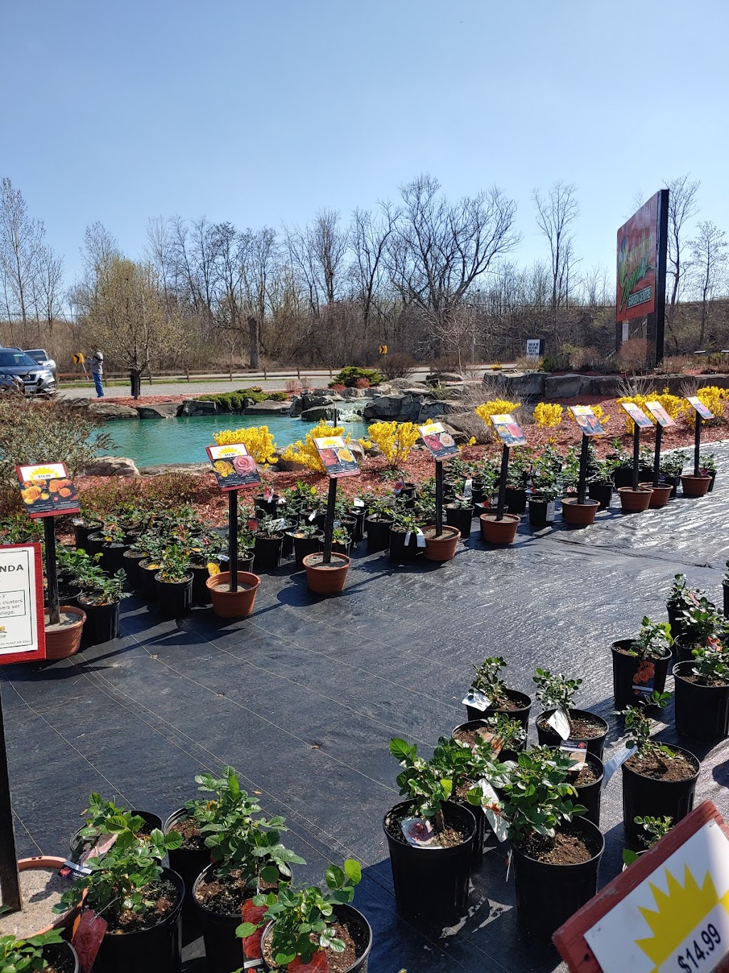 Sunrise Greenhouses Ltd | 3324 Second Ave, Vineland Station, ON L0R 2E0, Canada | Phone: (905) 562-3411