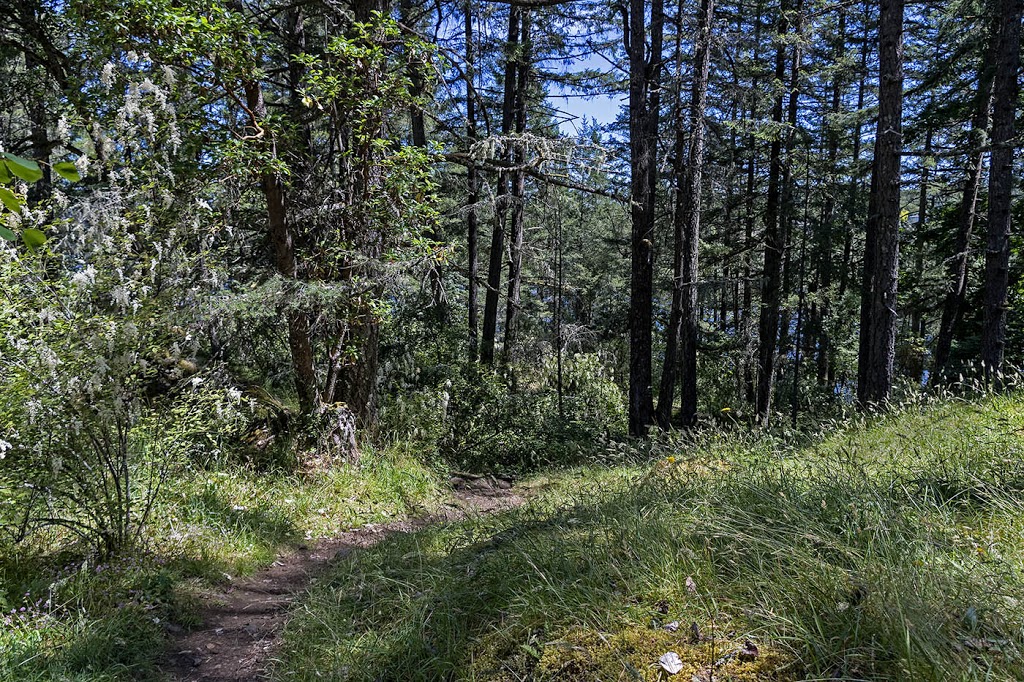 South Prospect Lake Park | 4675 Prospect Lake Rd, Victoria, BC V9E 1J5, Canada