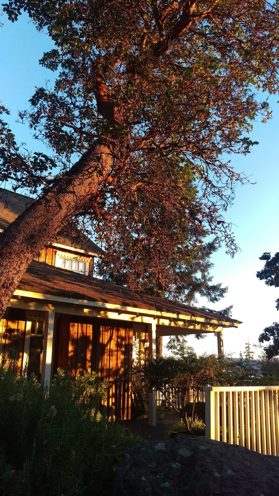 Quarrystone House Bed and Breakfast | 1340 Sunset Dr, Salt Spring Island, BC V8K 1E2, Canada | Phone: (250) 537-5980