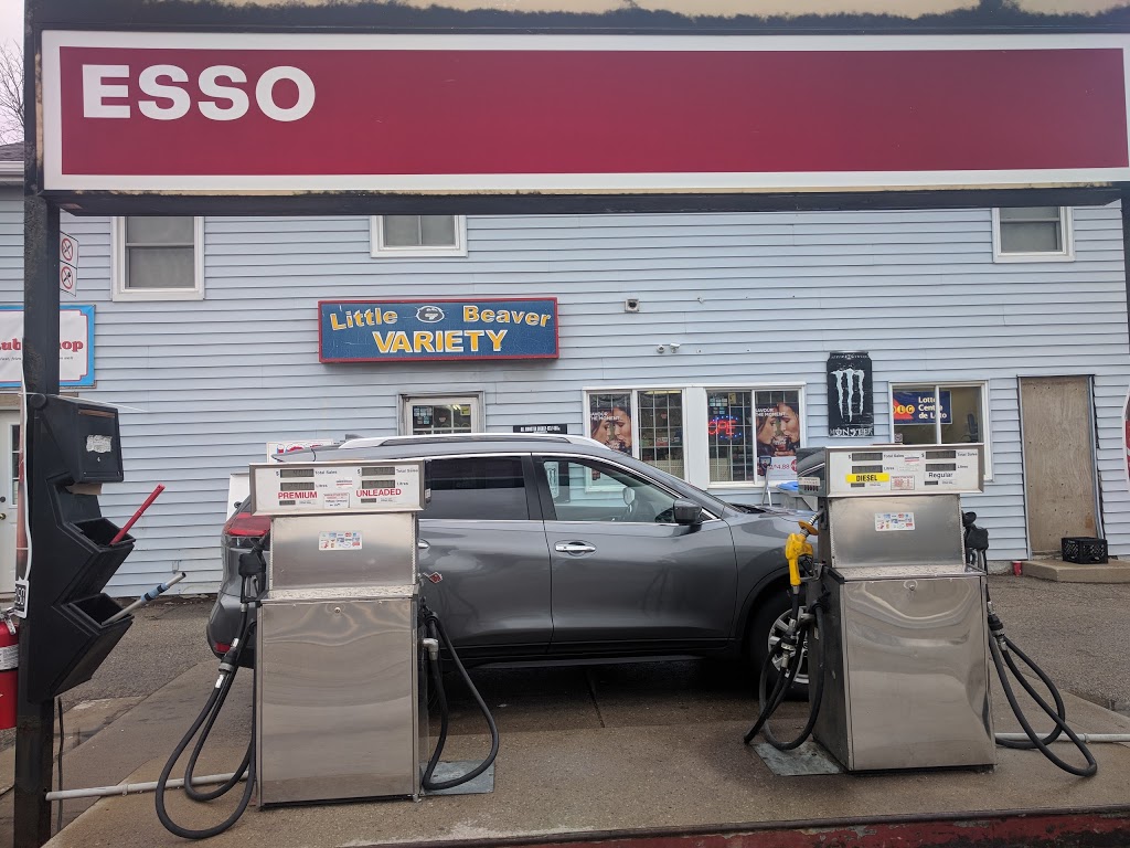 Little Beaver Variety | 11548 Longwoods Rd, Delaware, ON N0L 1E0, Canada | Phone: (519) 652-0977