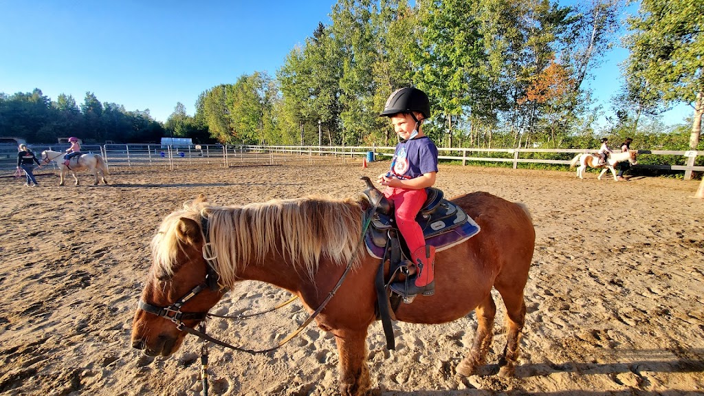 The Equi-AMI stables | 1251 Chem. des Défricheurs, Shawinigan, QC G9T 5K4, Canada | Phone: (819) 533-3221