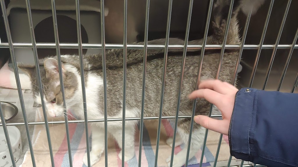 Oakville & Milton Humane Society | 445 Cornwall Rd, Oakville, ON L6J 7S8, Canada | Phone: (905) 845-1551