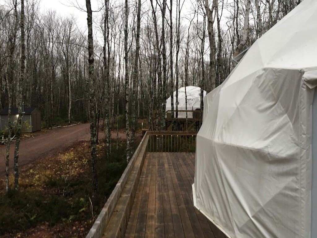 Treetop Haven | 1210 Mt Tryon Rd, Albany, PE C0B 1A0, Canada | Phone: (902) 439-0267