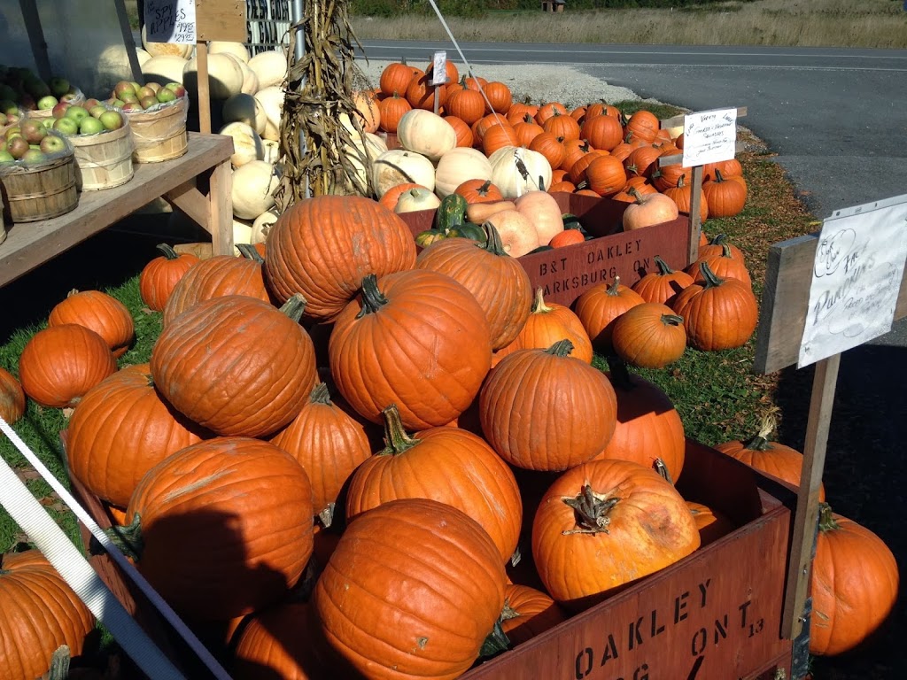 Goldsmiths Orchard Market | 207600 ON-26, Thornbury, ON N0H 2P0, Canada | Phone: (519) 599-3246