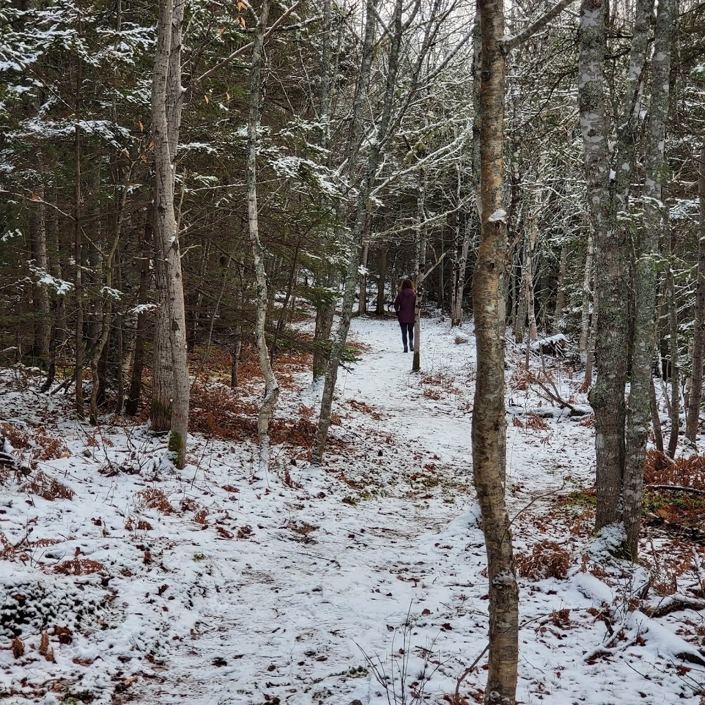 PEI Forestry: Brookvale Demo Woodlot | Brookvale Demo Woodlot Rd, North Wiltshire, PE C0A 1Y0, Canada | Phone: (902) 368-4700