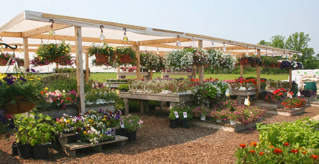 Prosperity Acres | 2666 Harmony Rd, Belleville, ON K8N 4Z6, Canada | Phone: (613) 477-1908