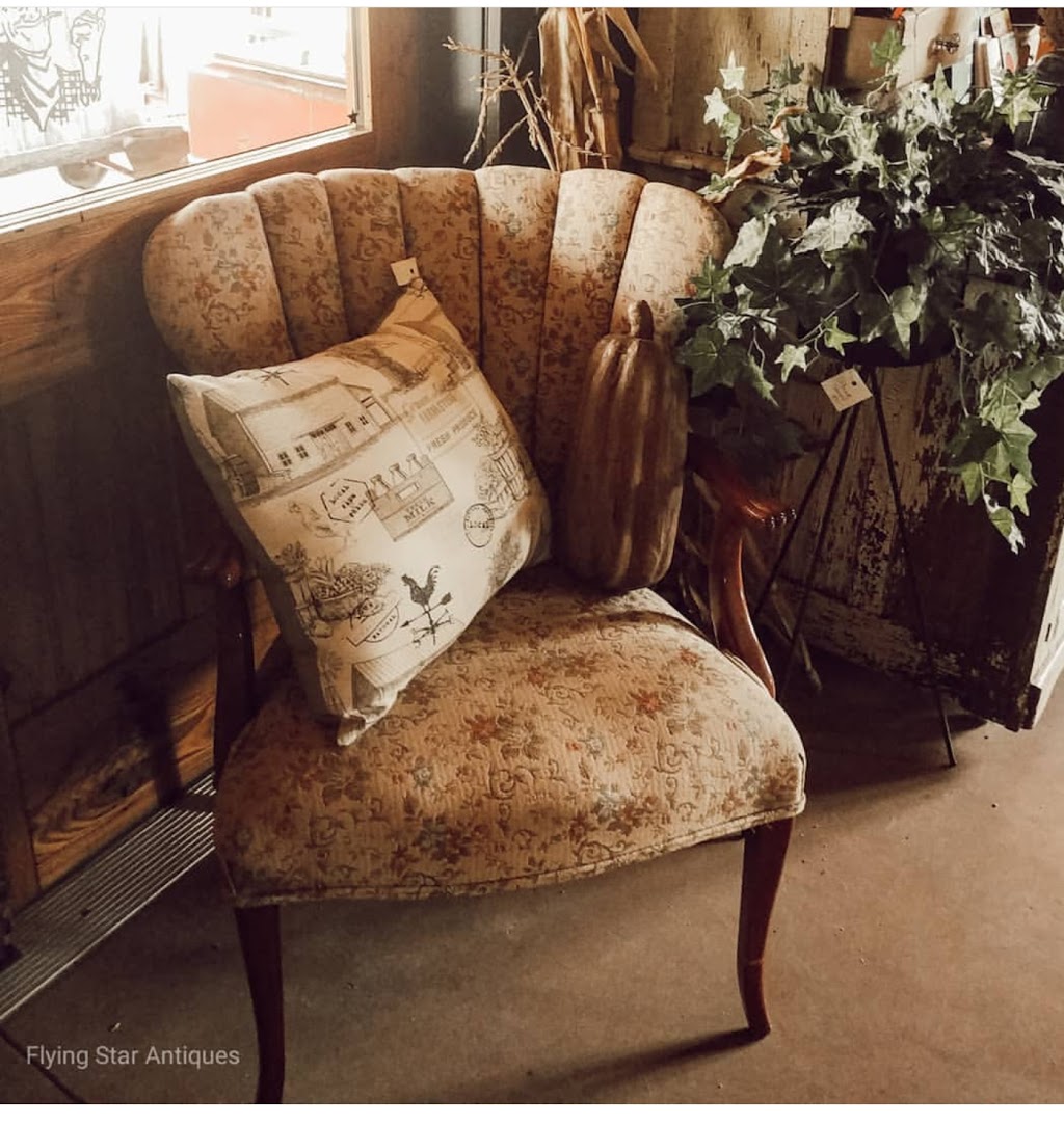 Flying Star | 1981 Manitoba St, Bracebridge, ON P1L 1W9, Canada | Phone: (705) 644-3131