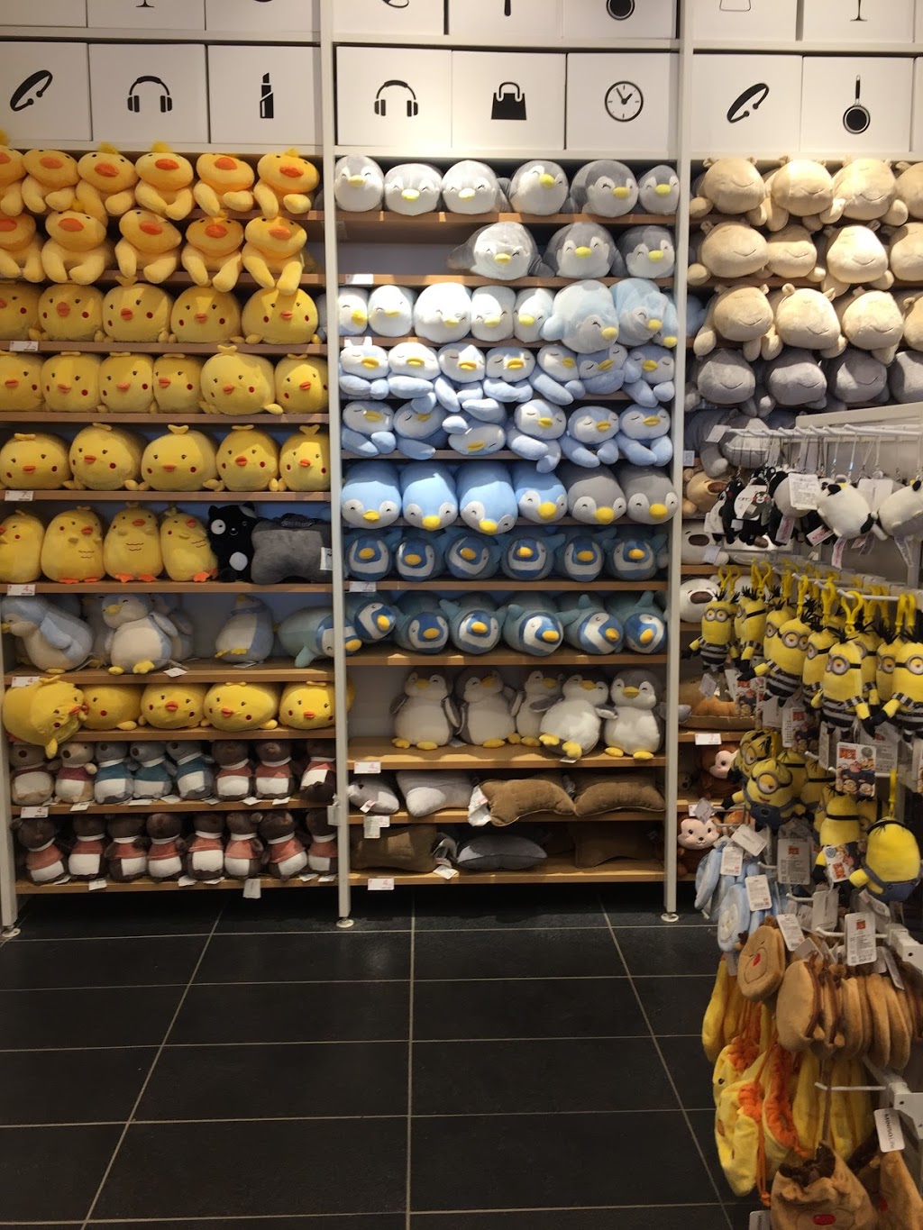 Miniso | 2031 99 St NW, Edmonton, AB T6N 1M1, Canada | Phone: (780) 244-0708