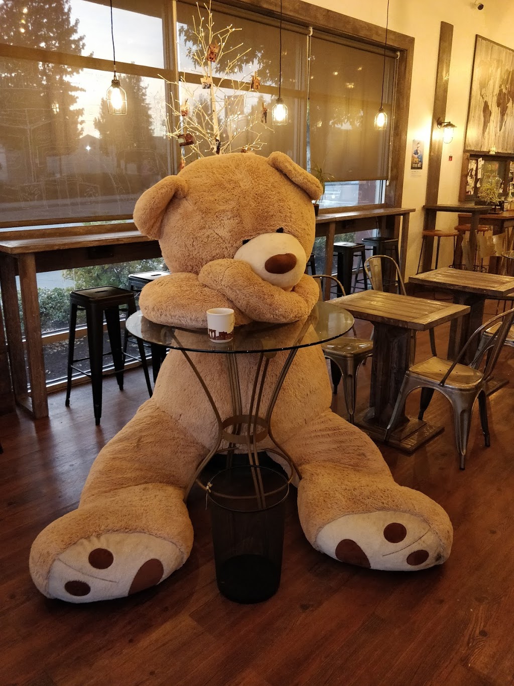 Creekside Coffee Factory | 20202 66 Ave #1c, Langley City, BC V2Y 1P6, Canada | Phone: (604) 514-8220