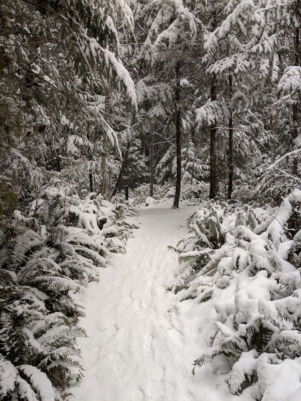 Cobble Hill Mountain Regional Recreation Area | Cowichan Valley B, BC V0R 1L5, Canada | Phone: (250) 746-2620