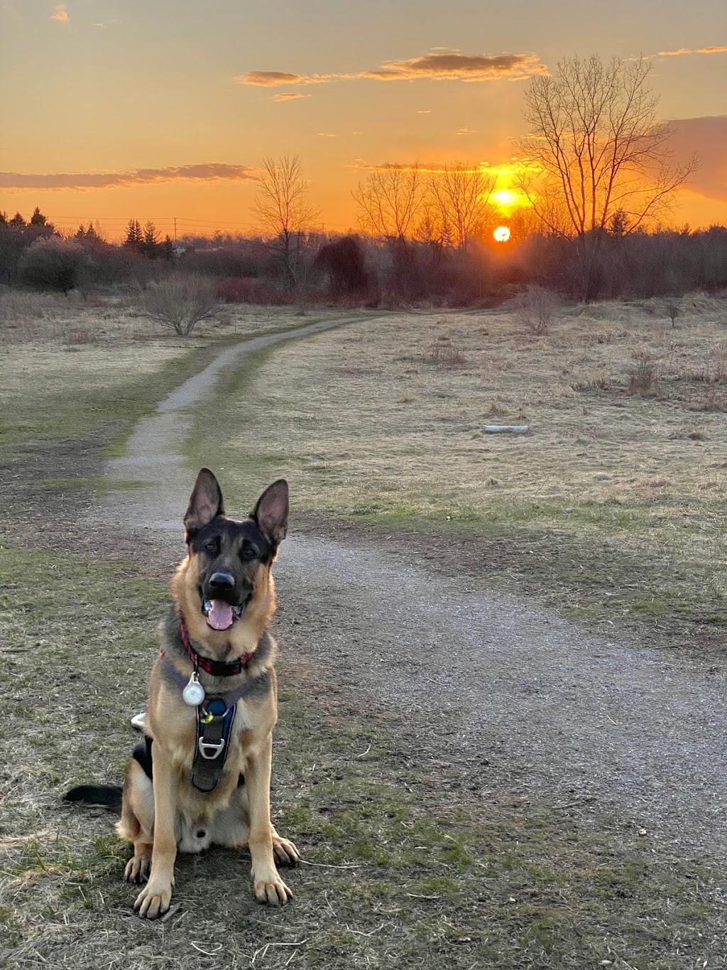 Bronte Creek Leash-free Dog Park | 1100 Burloak Dr, Burlington, ON L7L 6B2, Canada | Phone: (905) 827-6911