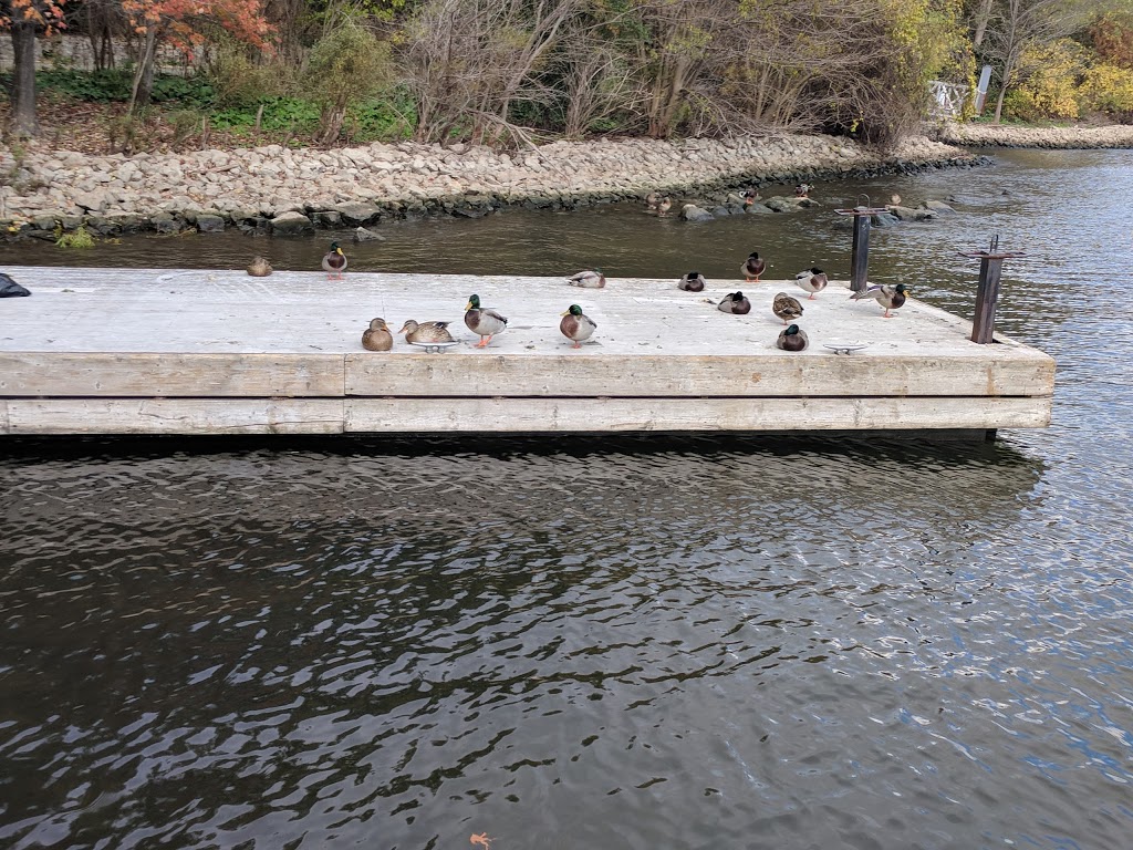LaSalle Park | 50 North Shore Boulevard, Burlington, ON L7T 4A4, Canada | Phone: (905) 335-7738