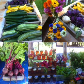 Kingfisher Farm Market | 512 172 St, Surrey, BC V3Z 9R3, Canada | Phone: (604) 560-1405