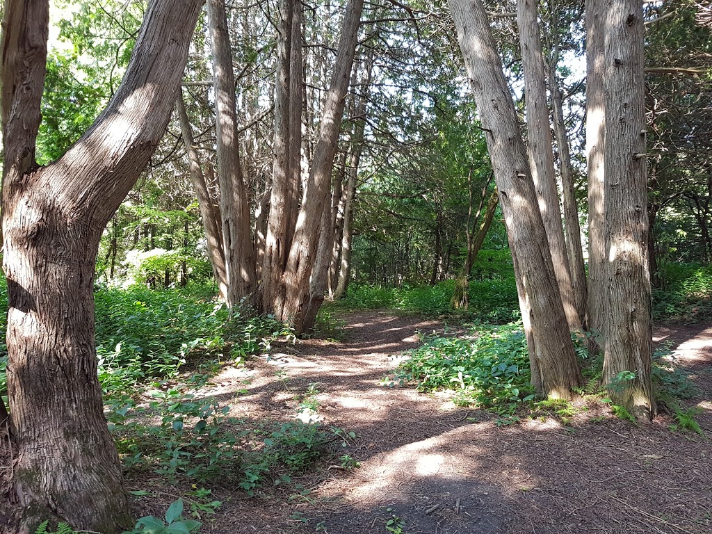 Cedar Valley Conservation Area | 1655 Canadore Crescent, Oshawa, ON L1G 8A6, Canada | Phone: (905) 436-3311