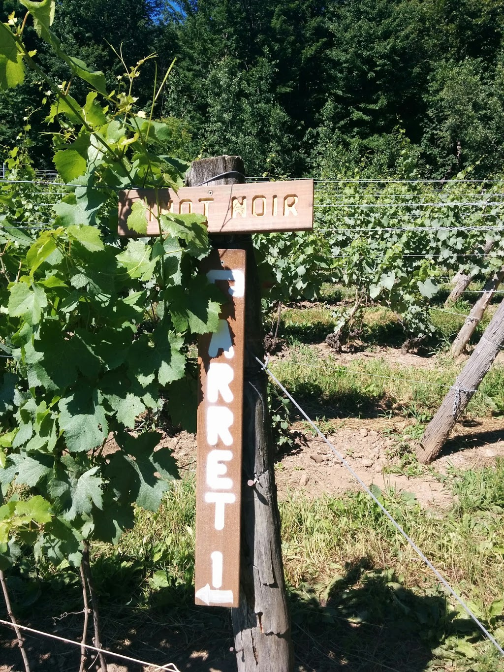 Vignoble les Pervenches | 150 Chemin Boulais, Farnham, QC J2N 2P9, Canada | Phone: (450) 293-8311